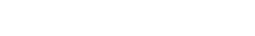 Nintendo DS