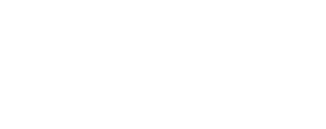 NES